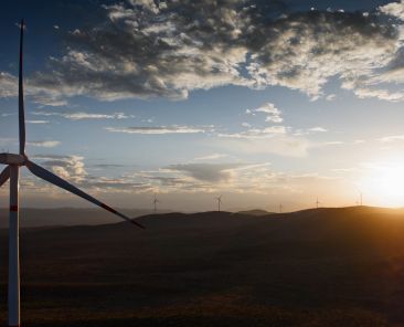 EGP_wind-farm-scaled