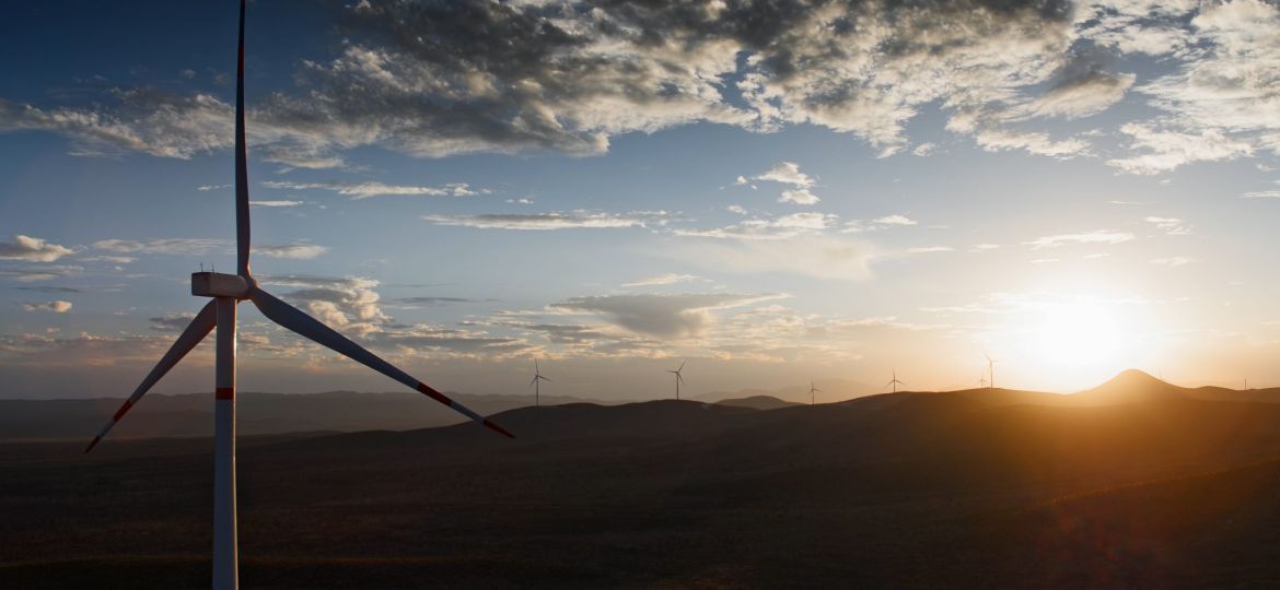 EGP_wind-farm-scaled