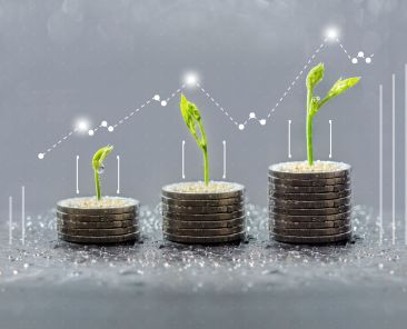 trees growing on coins, business with csr practice, Save and growing finance