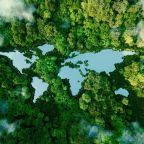 A lake in the shape of the world's continents in the middle of untouched nature. A metaphor for ecological travel, conservation, climate change, global warming and the fragility of nature.3d rendering